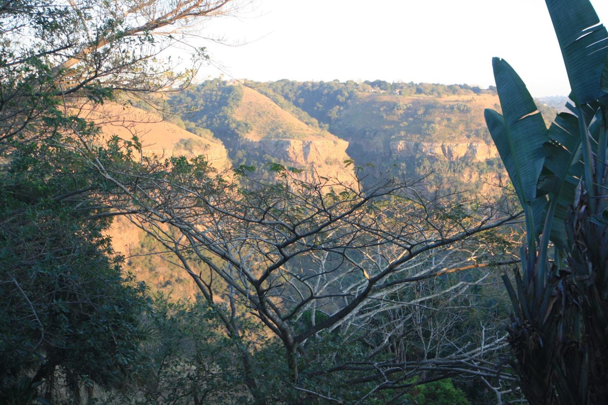Ammazulu African Palace Kloof Buitenkant foto